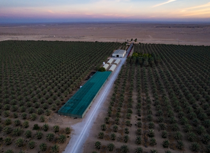 Organic Farm