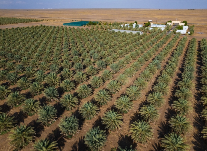 Al Safa Farm