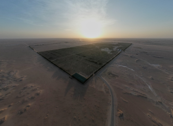 Al Najd Farm